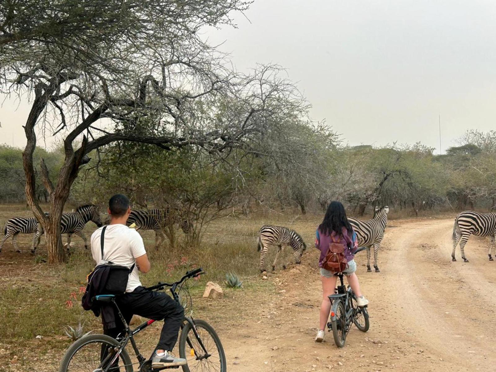Kruger Park Hostel Marloth Park Exterior photo
